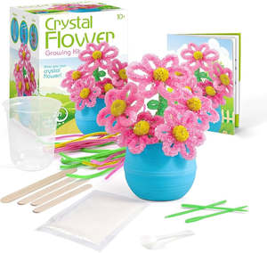 Kids Science 1: Crystal Flower Growing Kit