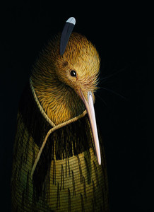 Products: He Maonga āwhā (Dark Kiwi) Eyeball Kicks