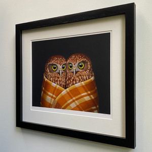 Products: Āke ake ake Eyeball Kicks