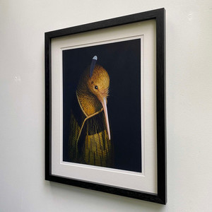 He Maonga āwhā (Dark Kiwi) Eyeball Kicks