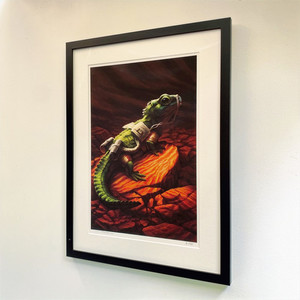 Products: Sam Balzer: Kaihopara Eyeball Kicks