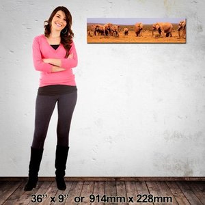 Panoramic Canvas: 914mm x 228mm (36″x9″)