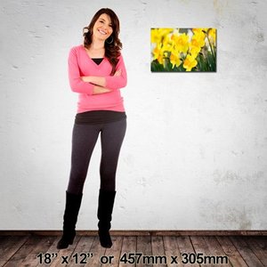 Landscape Canvas: 457mm x 305mm (18″x12″)