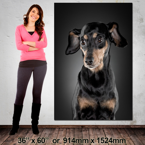 Canvas: XXL Size Canvas: 900mm x 1524mm (36″x60″)