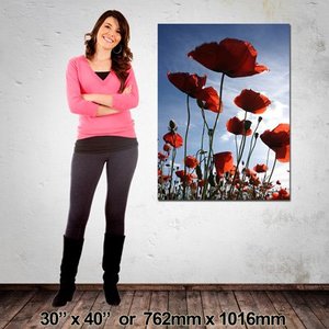 Canvas: Portrait Canvas: 762mm x 1016mm (30″x40″)