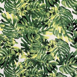 Canvas: Printed Canvas - Monstera