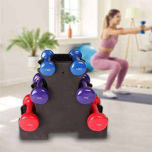 Gym Weights: 6-Piece Dumbbell Set with Rack