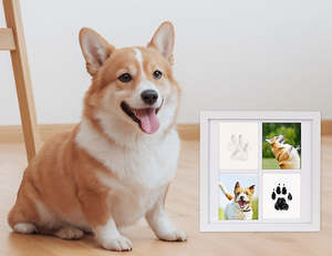 Health And Beauty: DIY Pet Paw Print Kit Photo Frame Keepsake for Dogs & Cats at Home