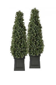 Synthetic Turf: Artificial Boxwood Topiary Trees 100cm Set of 2 with Pots