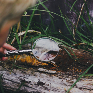 Magnifying Glass - White Brass