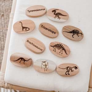 Q Toys: Qtoys | Dinosaur Stone Set