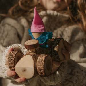 Vehicles: Qtoys | Natural Wooden Log Car