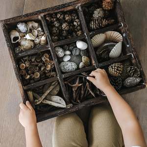 Wooden Sorting Tray - Extra Large