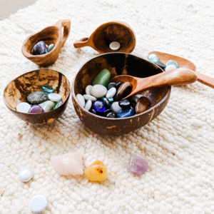 Coconut Bowls