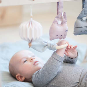 Rattles And Teethers: Organic Cotton Snap Animal Rattles | 2 Colours