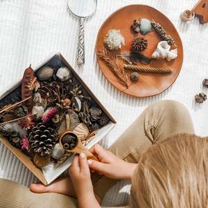 Aotearoas Natural Treasures: Natural Treasures - Large Sensory Box