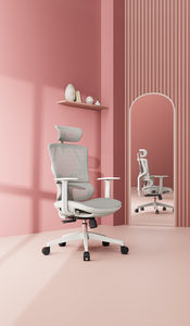 Products: Sihoo M91C Ergonomic Office Chair (Light Gray) (Lady/Teen version of M90C)