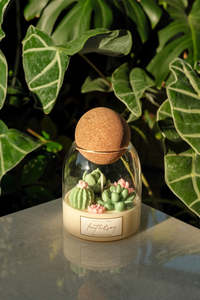 Odelia's Garden - Terrarium Candle