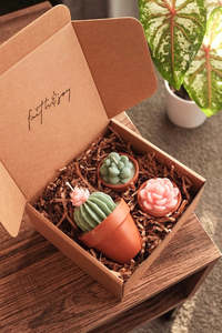 Potted Succulents Candle Bundle