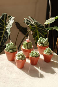 Potted Succulent Candle