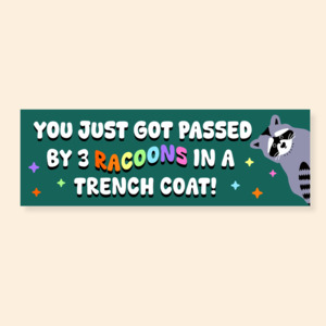 Products: 3 Racoons - Car Bumper Sticker