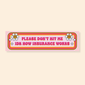 Please Don't Hit Me - Car Bumper Sticker
