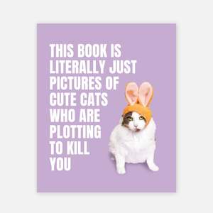 For Humans: This Book is Literally Just Pictures of Cute Cats Who Are Plotting to Kill You