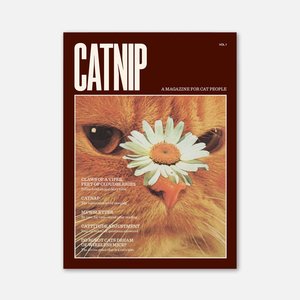 For Humans: Catnip Magazine