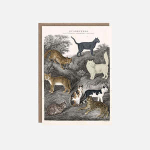 Cat Cards: Cat Card - Quadrupeds