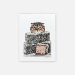 Cat Art Print - Lamington Fold