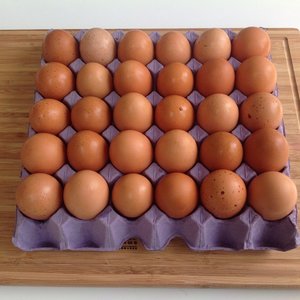 Products: Free Range Eggs - tray of 30 - Farmhealth Services