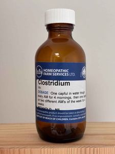 Clostridium