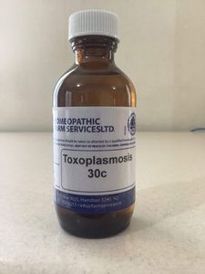 Sheep: Toxoplasmosis