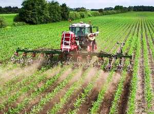 Cropping And Tillage: Thyregod Inter-row Cultivator