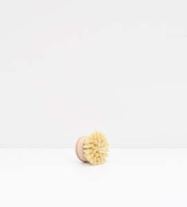 Tampico Dish Brush | Replacement Head