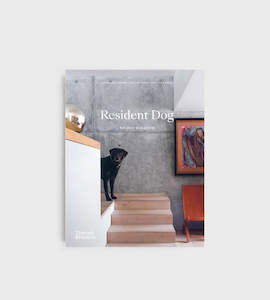 New In Home: Resident Dog | Nicole England