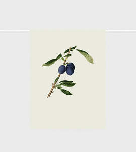 Lettuce | Tea Towel | Plums