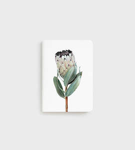 Father Rabbit Notebooks: Father Rabbit | B7 Pocket Notebook | Protea