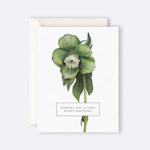 Father Rabbit Birthday Cards: Father Rabbit Stationery | Card | Wishing You A Very Happy Birthday