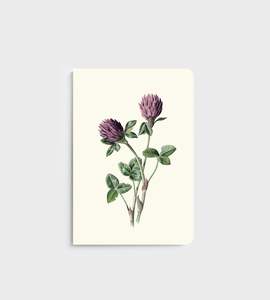 Lettuce: Notebook | Red Meadow Clover