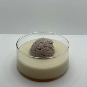 Wax Mold Candles: Ice Cream Candle