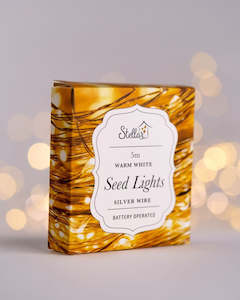 Candles: 5m AA Sliver WW 50 Led Wire Seed Lights