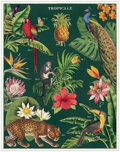 Games Amp Puzzles: Tropicale Garden Vintage Jigsaw Puzzle