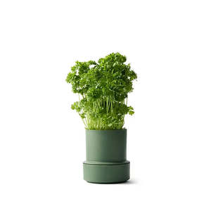 Crushgrind Billund Self Watering Pot Parsley