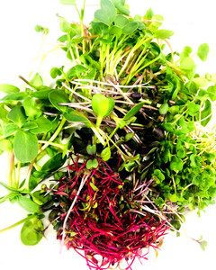 Micro Subscription 240g Fernside Microfarm