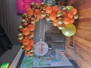 ON SPECIAL - Balloon Garland, frame and custom print board package