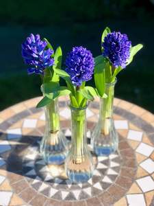 Bud vase.