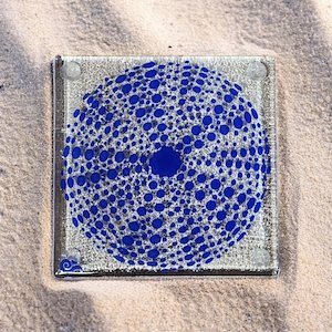 Glass Giftware: NZ Made Glass Coaster Kina - Royal Blue - Single in display box