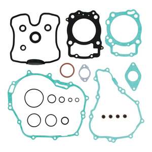 Hard Parts: Complete Gasket Set with Oil Seals 8110042
