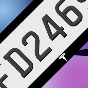 Number Plate Frames: Tesla Emblem Plate Frames